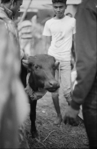 IMG_20241209_0019 (1)